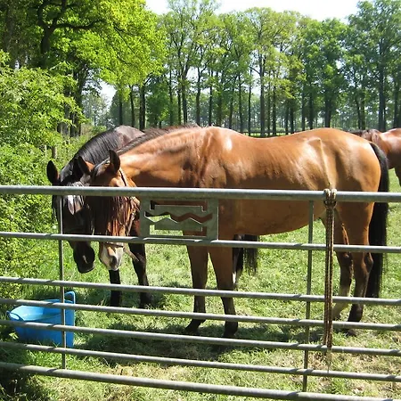 Bed & Breakfast Landgoedhoeve Vosbergen 4*