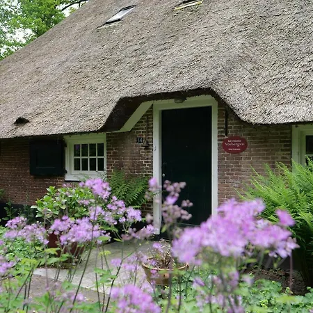 Landgoedhoeve Vosbergen Bed & Breakfast