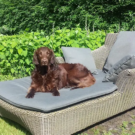 Bed & Breakfast Landgoedhoeve Vosbergen 4*