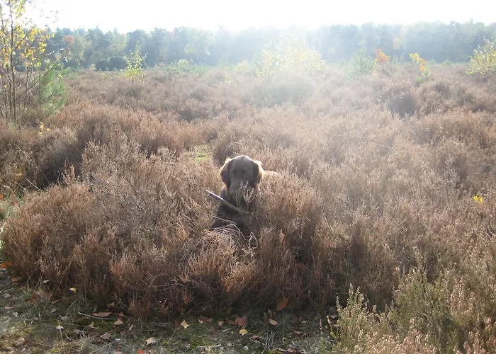 Couette-café Landgoedhoeve Vosbergen Heerde
