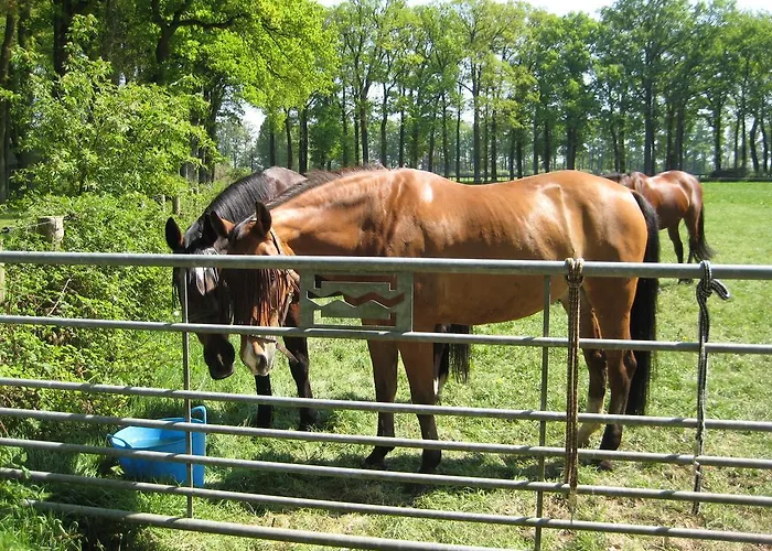 Bed and breakfast Landgoedhoeve Vosbergen 4*