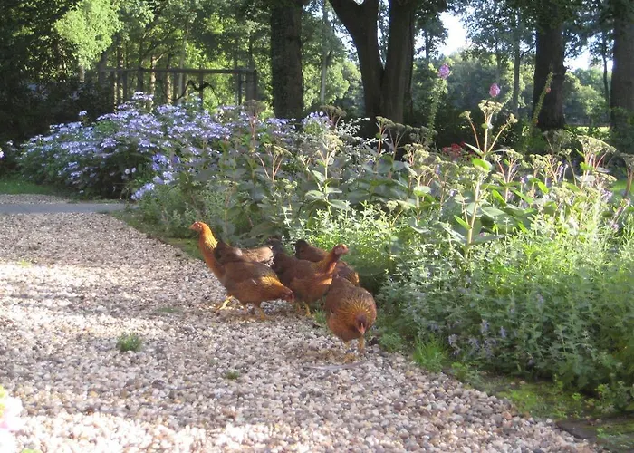 Bed and breakfast Landgoedhoeve Vosbergen Heerde