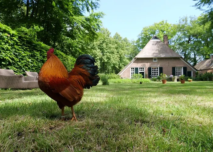 Bed & Breakfast Landgoedhoeve Vosbergen 4*