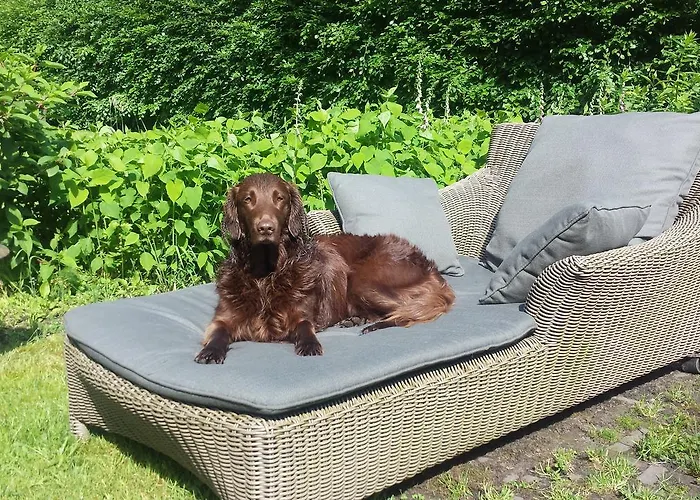 Bed and breakfast Landgoedhoeve Vosbergen 4*