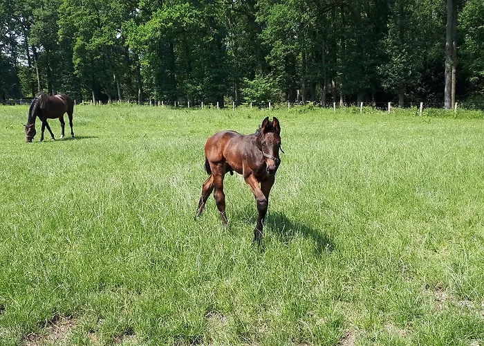 Landgoedhoeve Vosbergen