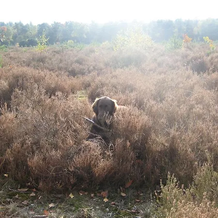 ベッド・アンド・ブレックファスト Landgoedhoeve Vosbergen Heerde