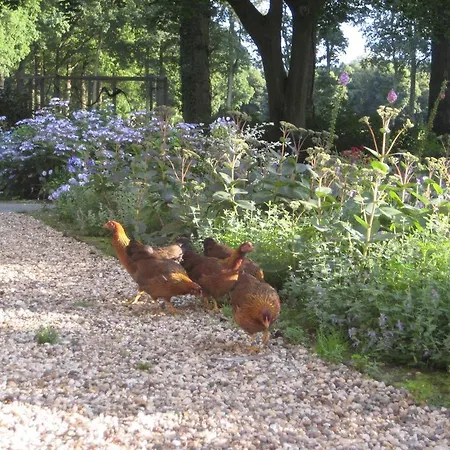 ベッド・アンド・ブレックファスト Landgoedhoeve Vosbergen Heerde