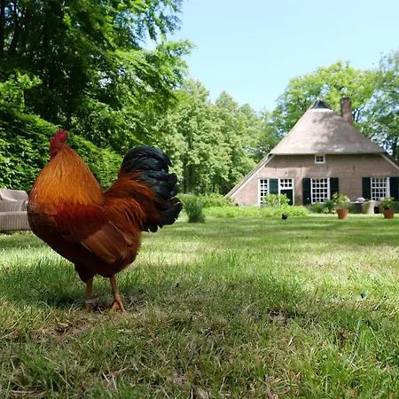 B&B Landgoedhoeve Vosbergen 2*