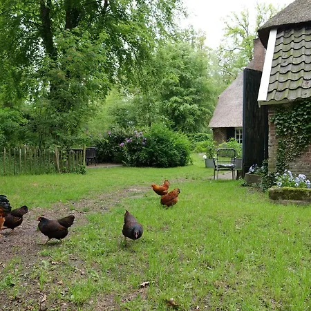 ベッド・アンド・ブレックファスト Landgoedhoeve Vosbergen 4*