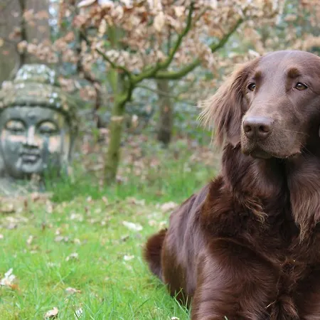 Landgoedhoeve Vosbergen 4* Heerde
