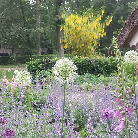 ベッド・アンド・ブレックファスト Landgoedhoeve Vosbergen