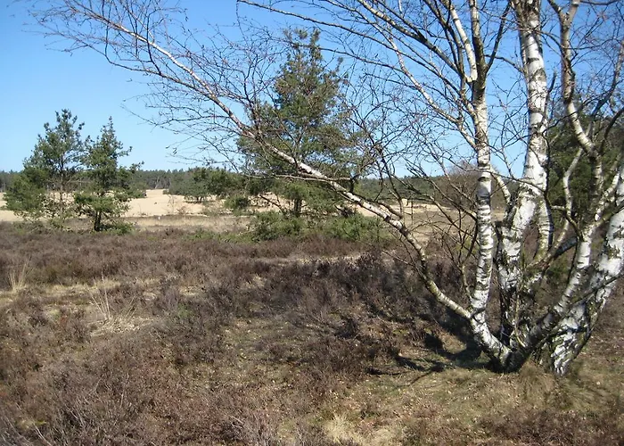 Landgoedhoeve Vosbergen 住宿加早餐酒店