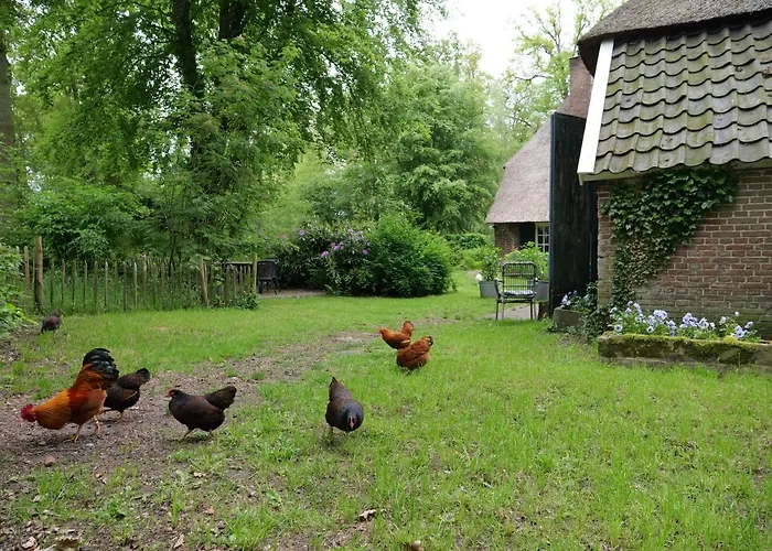 ベッド・アンド・ブレックファスト Landgoedhoeve Vosbergen 4*