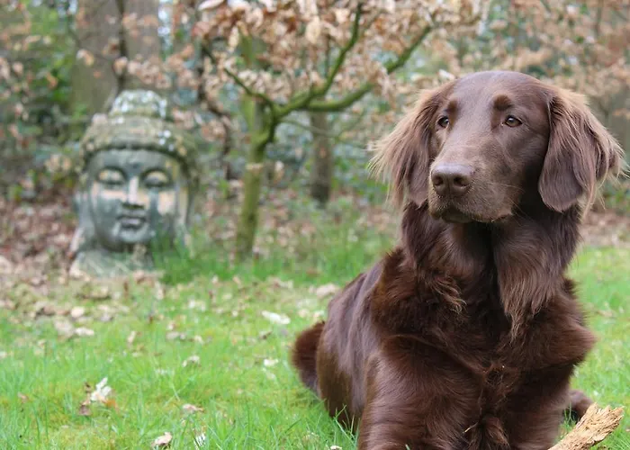 Landgoedhoeve Vosbergen 4* Heerde